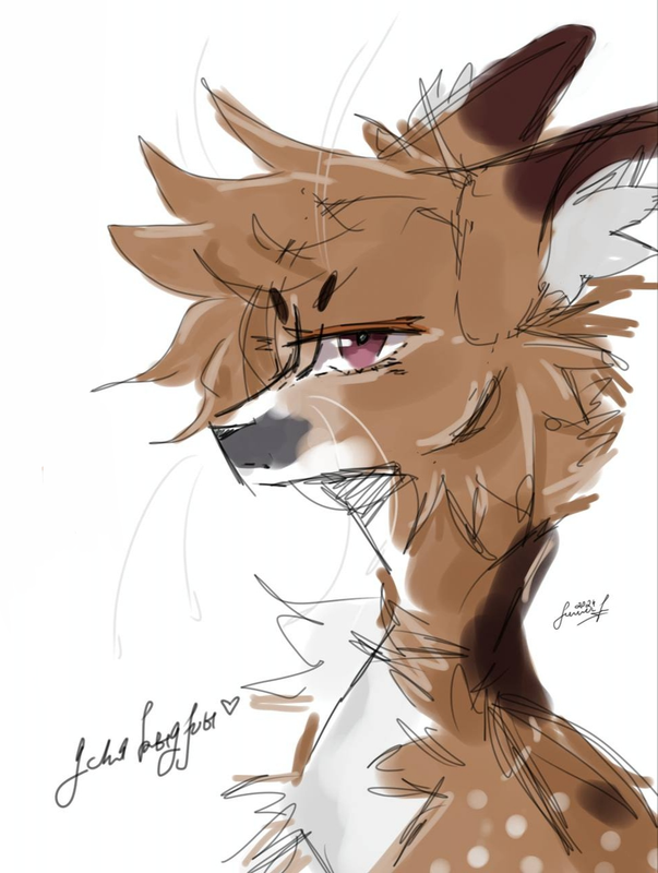 Без названия1388_20240817182104