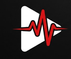 StreamVibe Official Logo