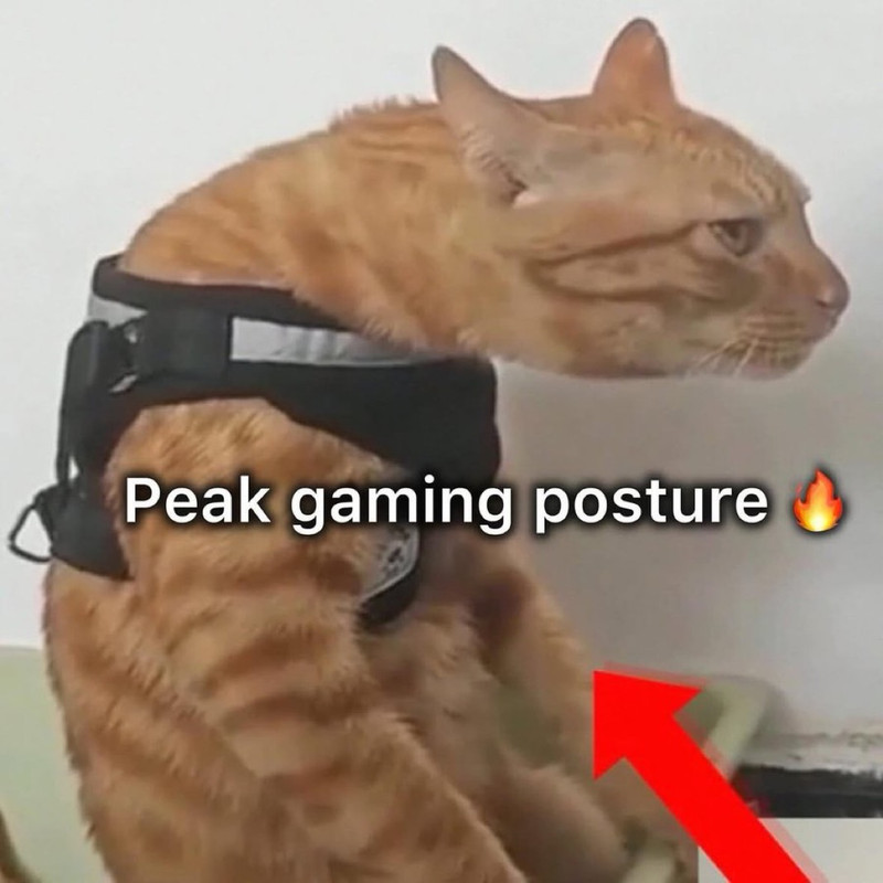 GvcZmbJXkAAdZO4