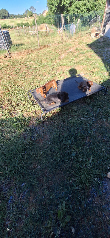 [Image: 20250628-191156.jpg]