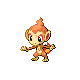 chimchar.png