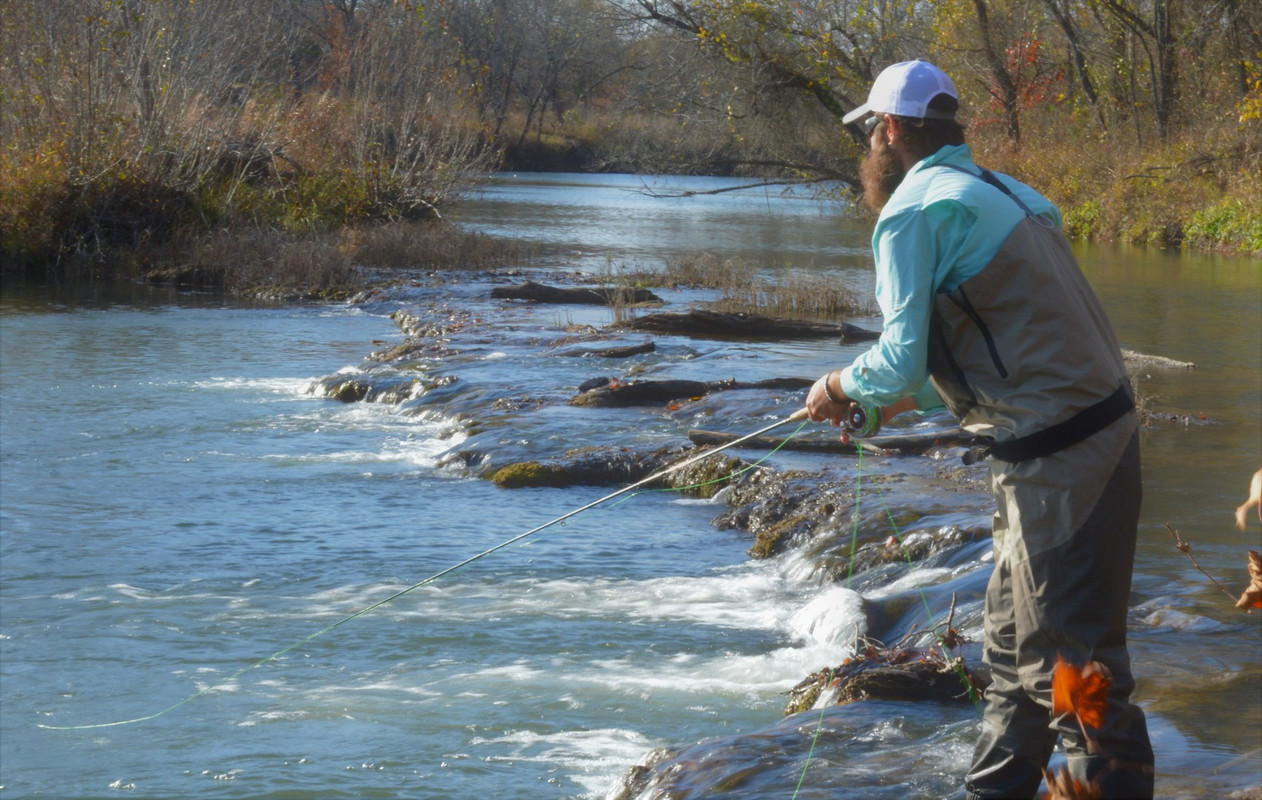 17EF2F16-14B8-4E8E-9F38-DE7FF4B6F03D