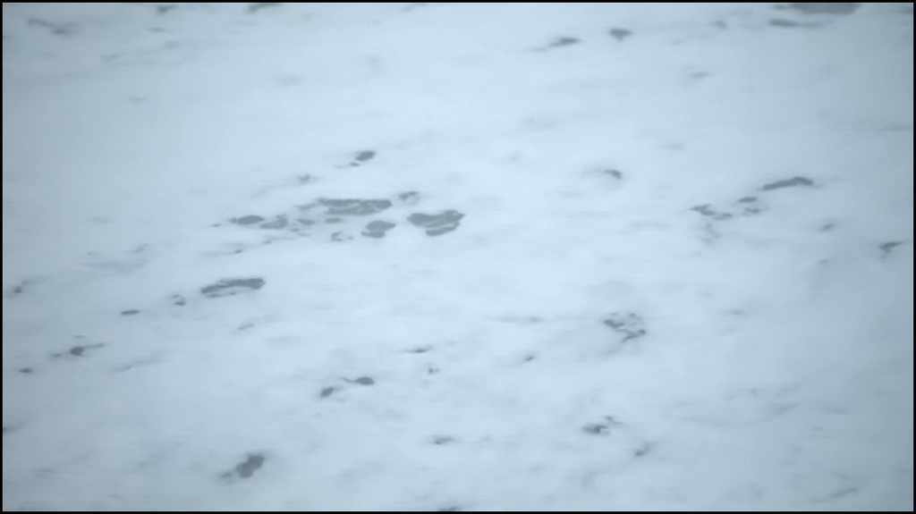 [Image: vhl8z8je85hx.png]