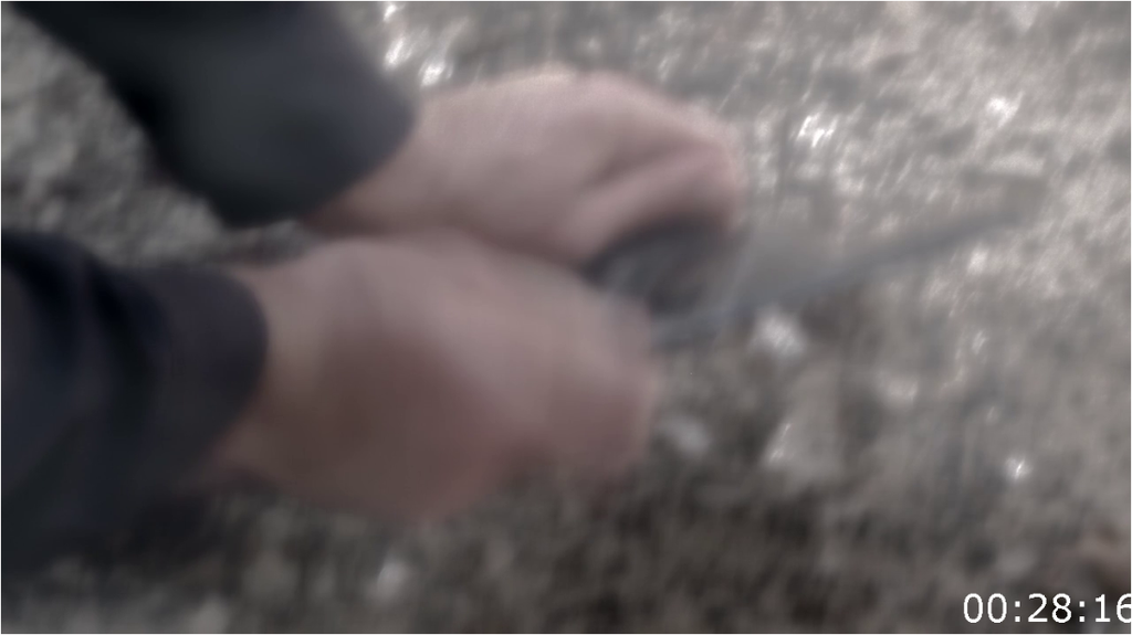 [Image: z7a0j4sp8aem.png]