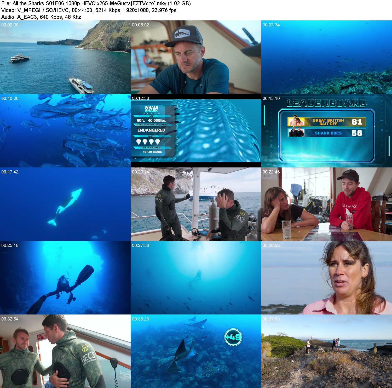 [Image: ezj7unt46l6f.jpg]