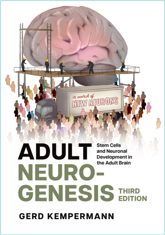 Adult Neurogenesis Stem Cells And Neuronal Development In The Adult Brain (Gerd Kempermann)