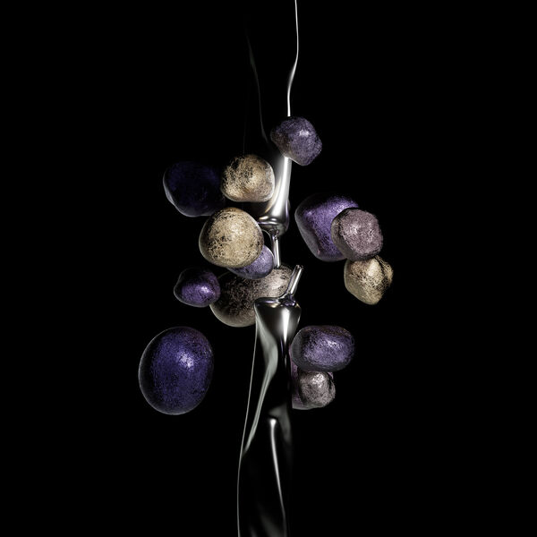 [Image: npli6cc446as.jpg]