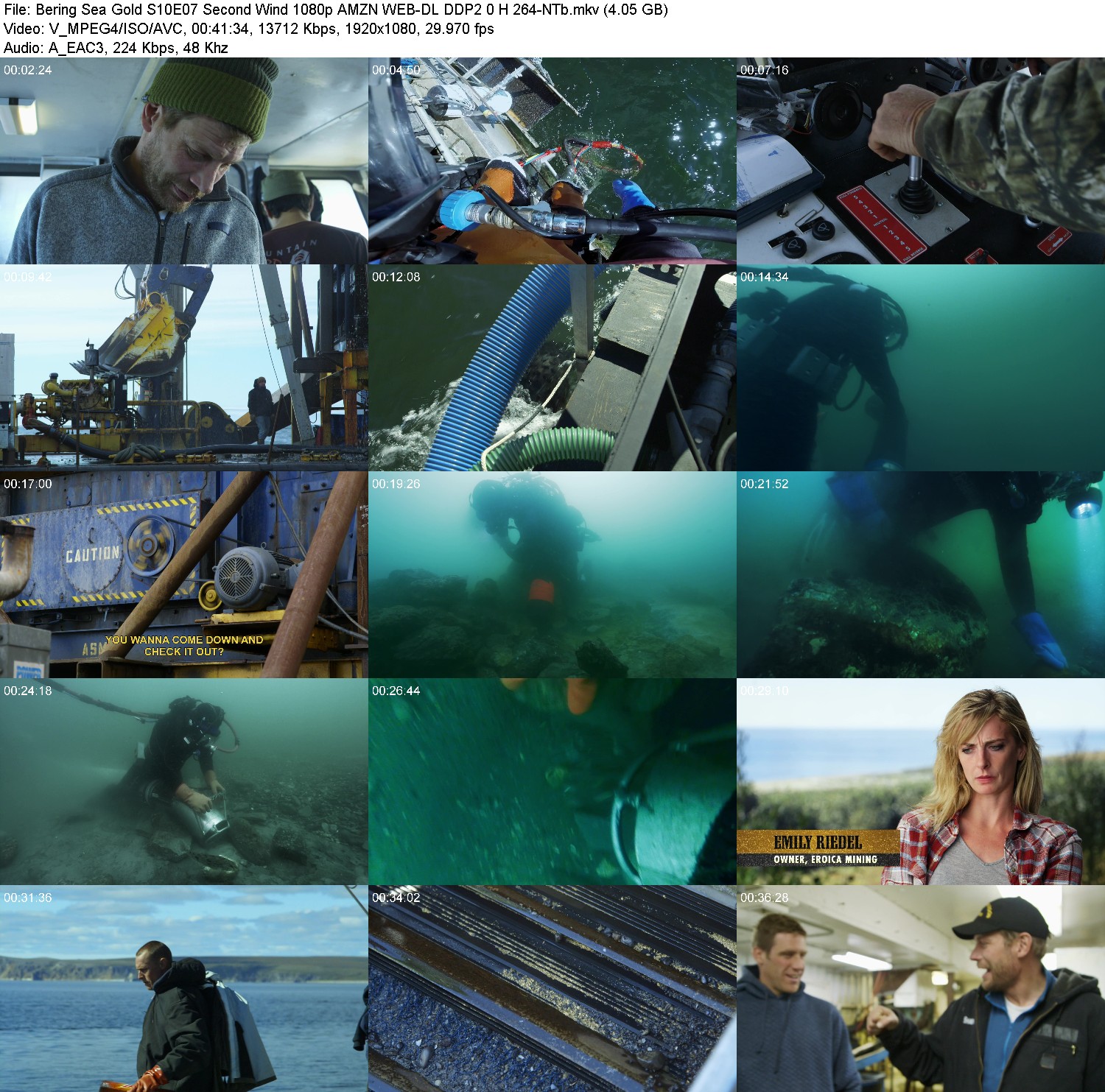 [Image: w55ooxk8hz0e.jpg]