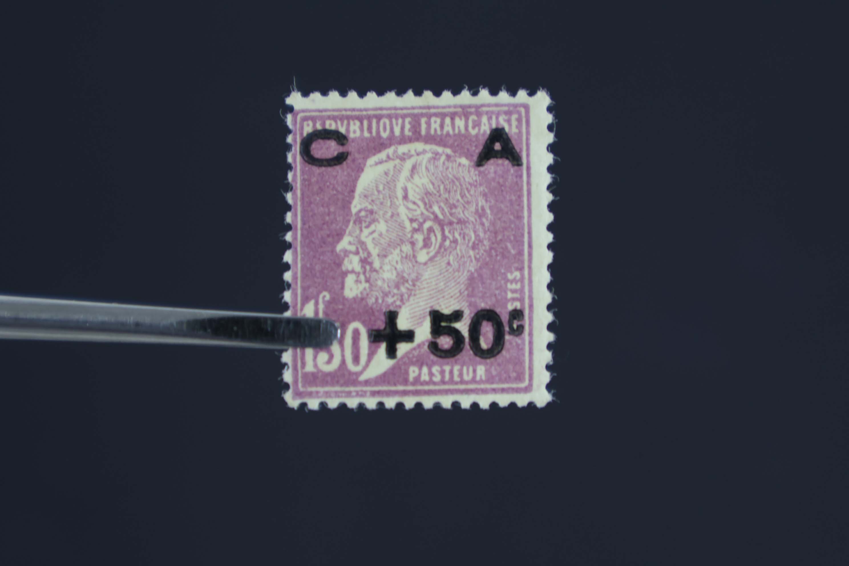 IMG-1513