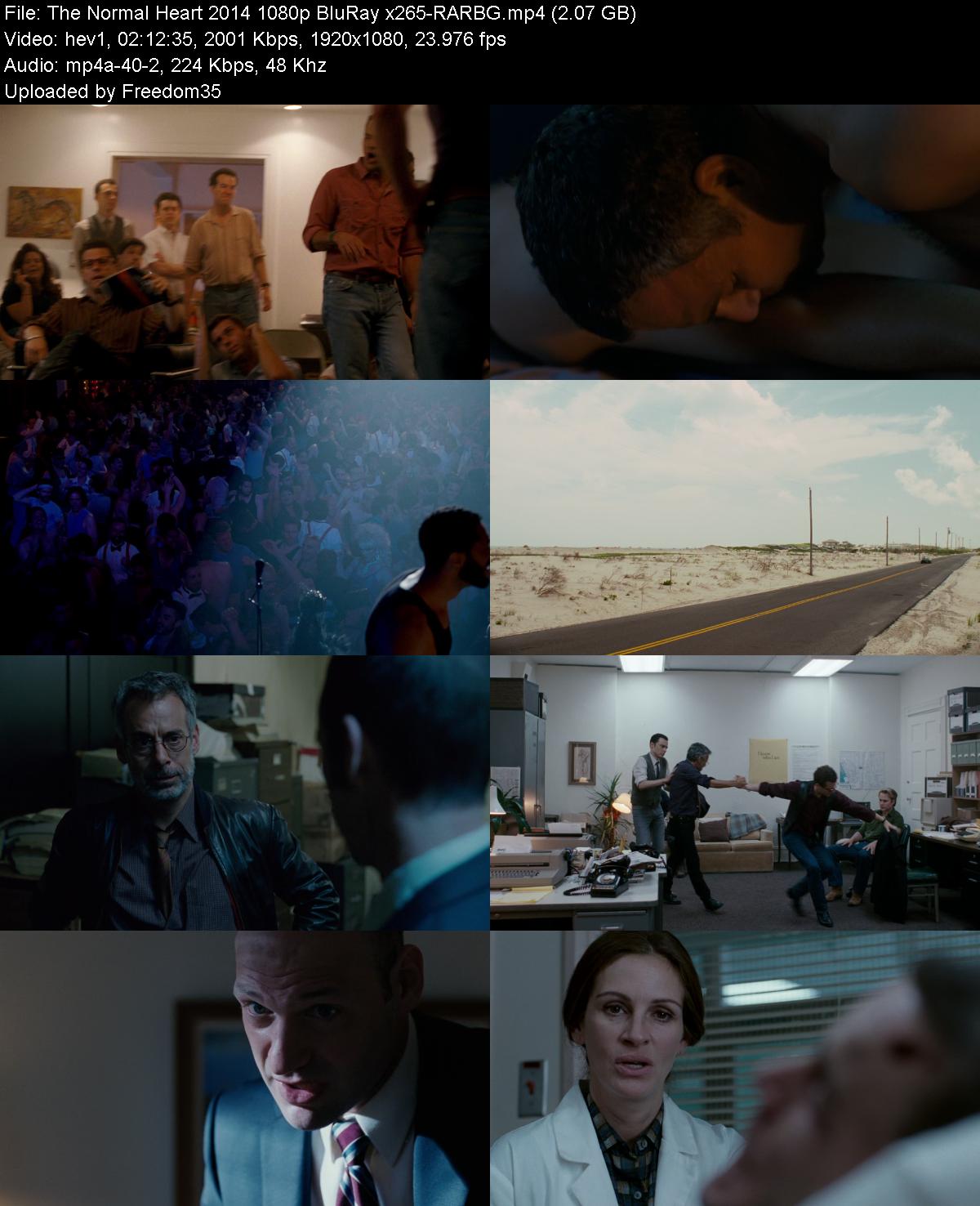 The-Normal-Heart-2014-1080p-Blu-Ray-x265
