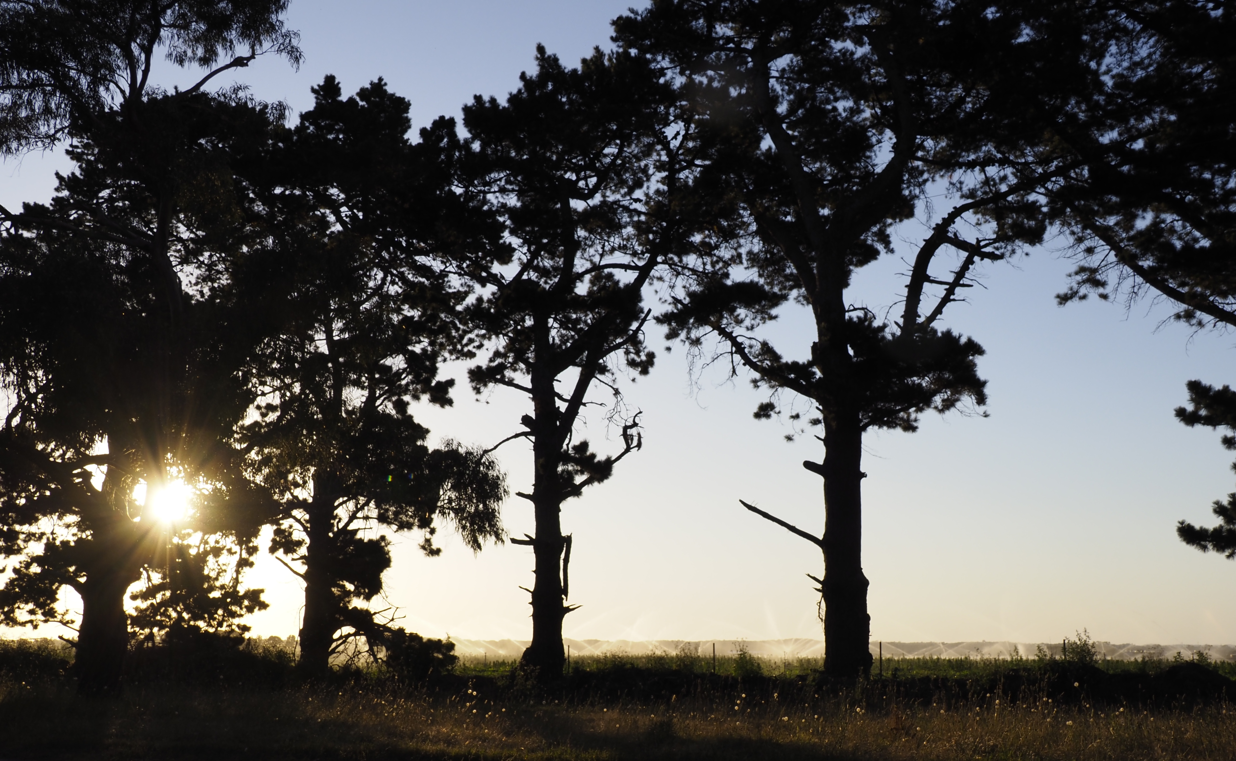 Sundown-18x10.jpg