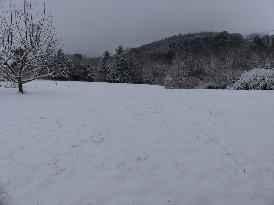 P1080207.jpg