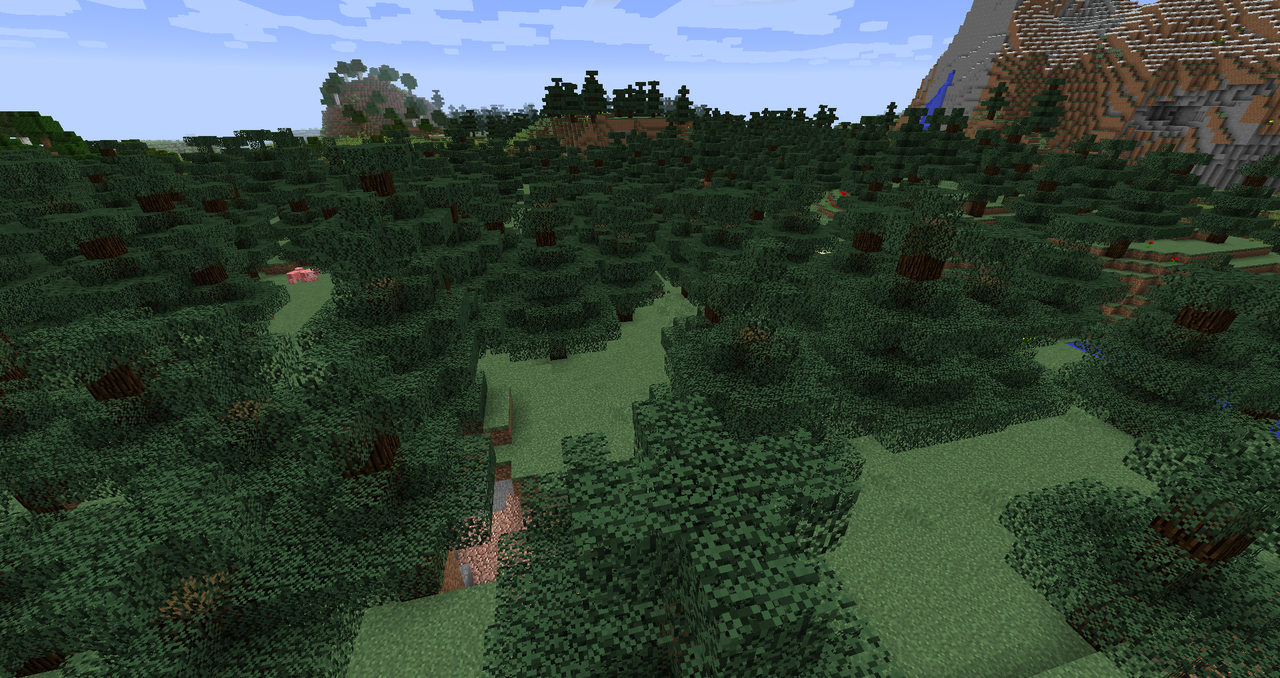 Low Spruce Woodlands