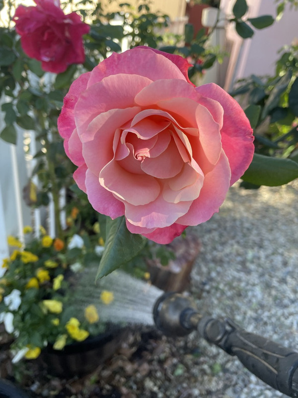 1-B3-A0346-70-A1-4-B69-9-C0-E-EF5-E711-E2-F4-C-1-105-c