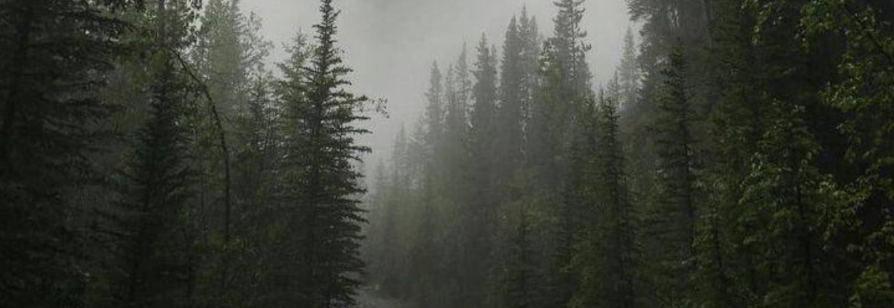 Untitled352_20240718222116