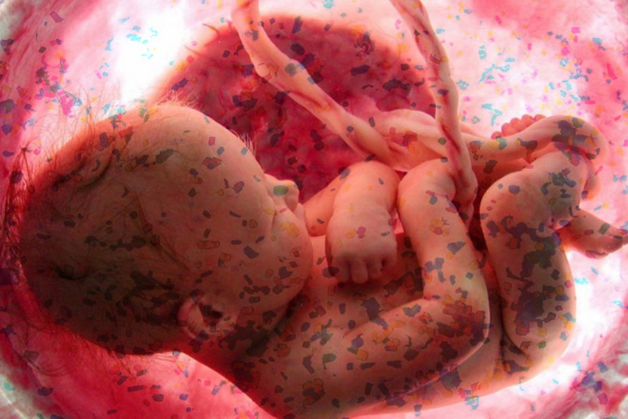 Incredibile: Microplastiche nella placenta dei bambini non ancora nati