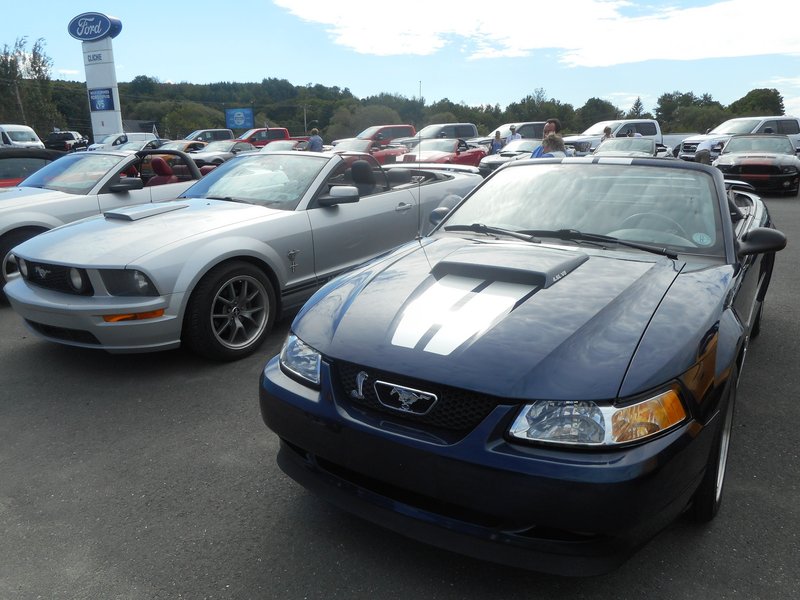 Rendez-Vous Mustang Cliche Auto Ford - 14 août 2022 Cliche2022-44