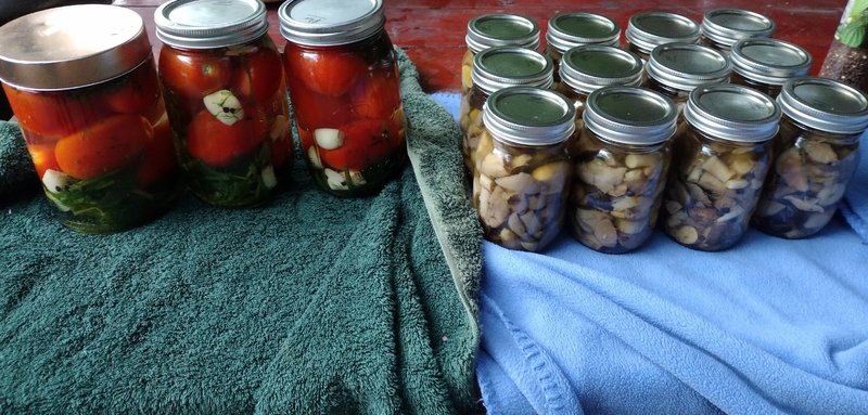 IMG_20220913_190952988~2