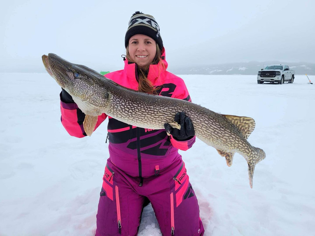 SH_42Pike