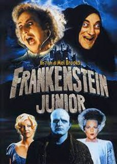 Frankenstein Junior (1974).mkv BDRip 576p x264 AC3 iTA-ENG