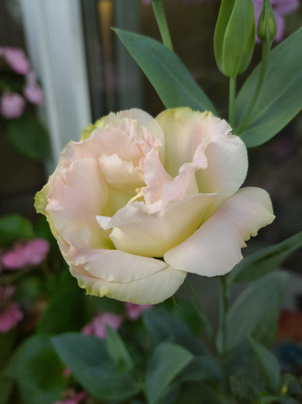 WhatsApp Image 2022-08-25 at 17.07.11 (1)