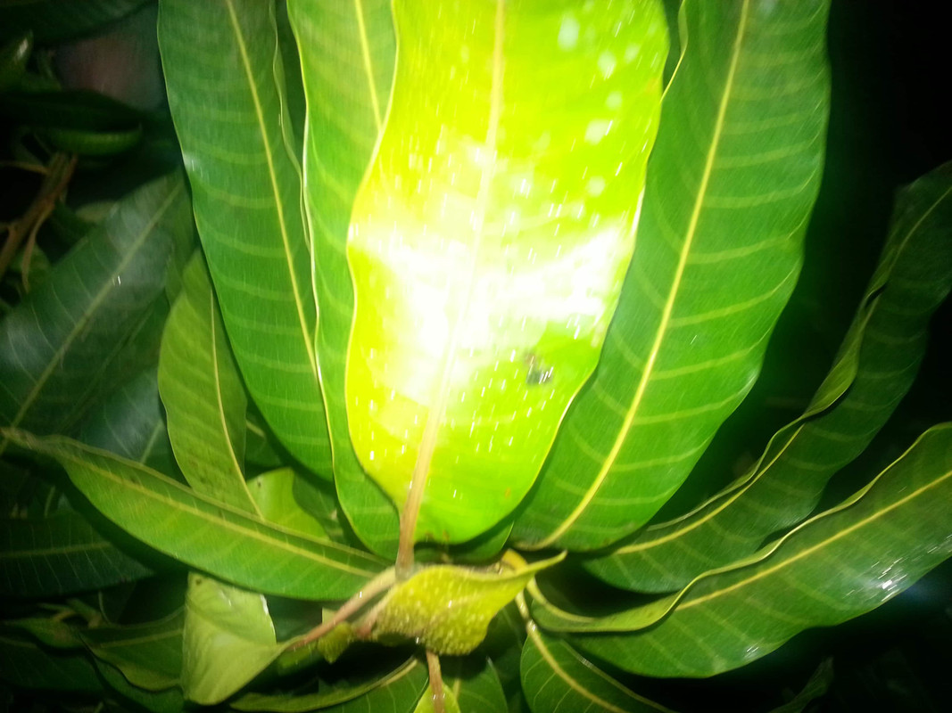 tmp_20140518_2100401175448703