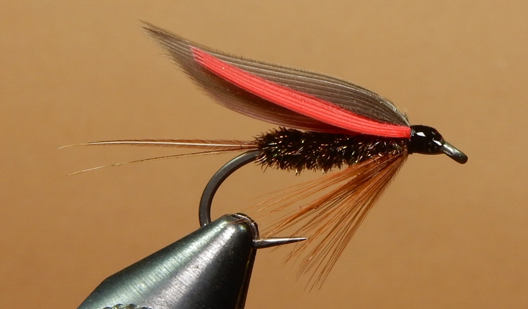 California-Leadwing-Coachman-1080.jpg