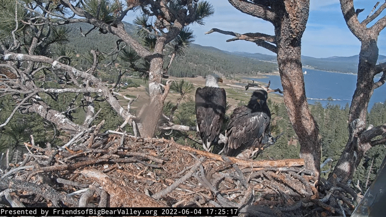 Webp.net-gifmaker (5)