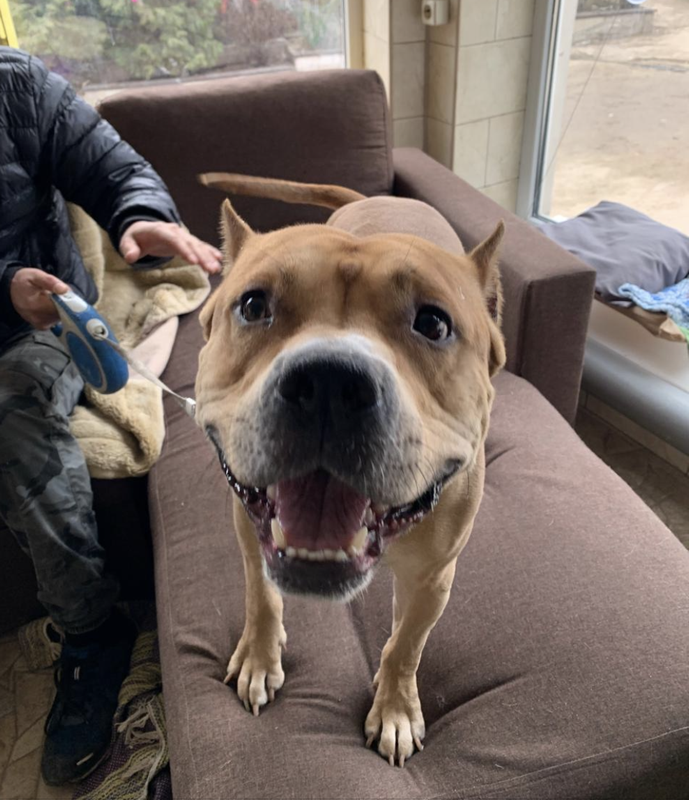 Снимок экрана 2025-03-13 в 15.40.00