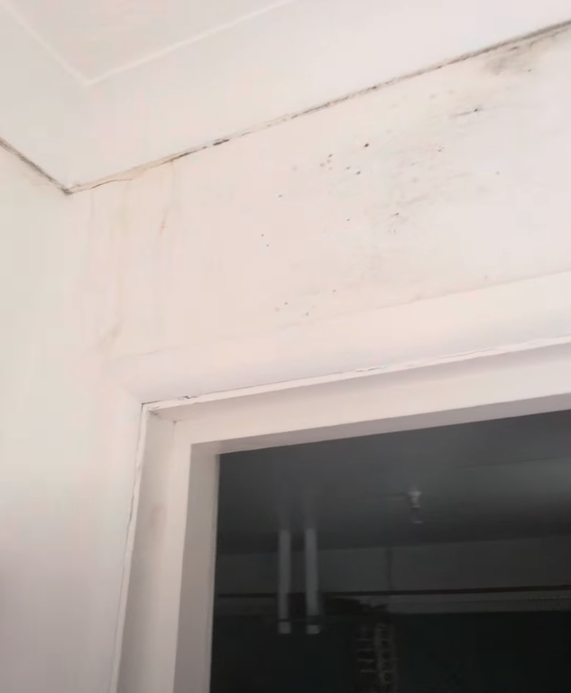 Screenshot 2026 03 11 at 13 32 26