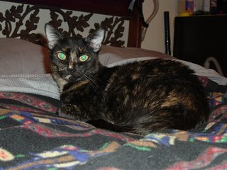 DSCF0877.jpg