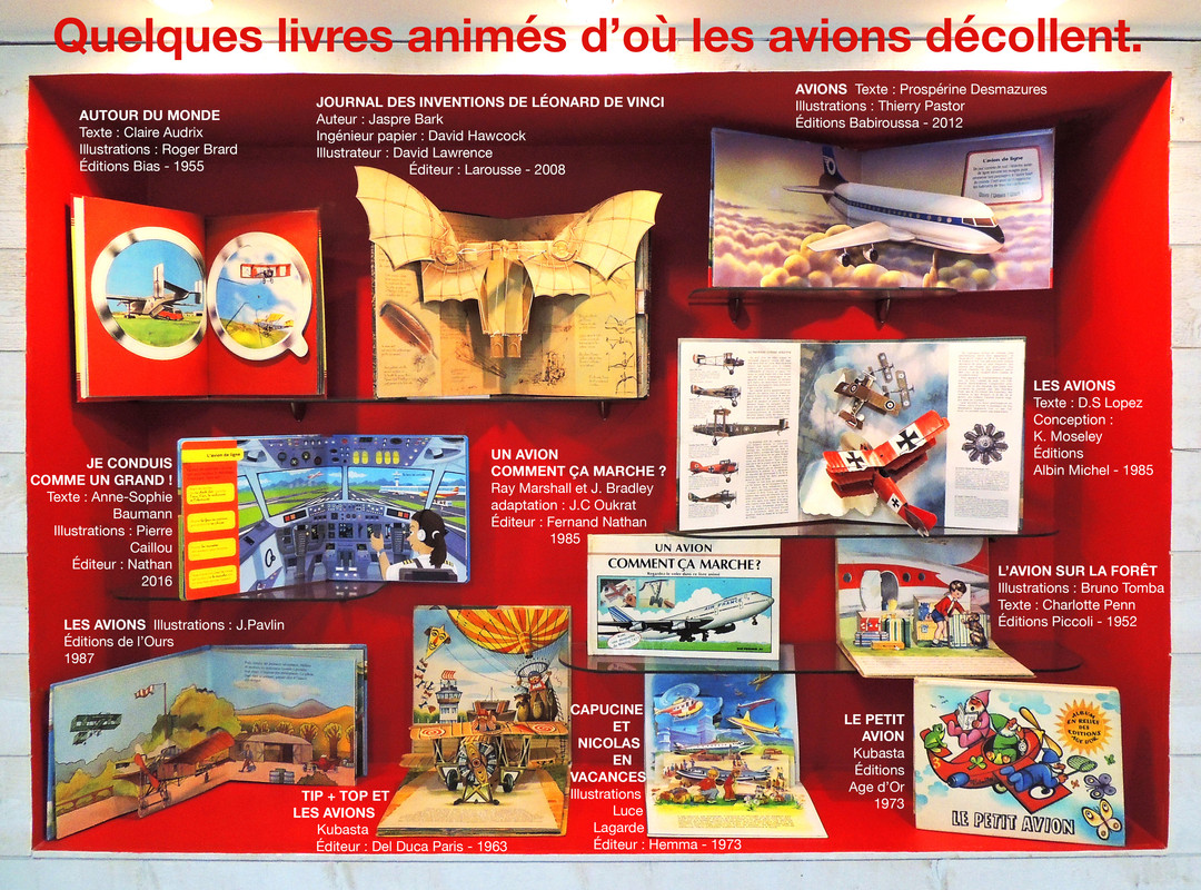 VITRINE AVIONS 01-2018