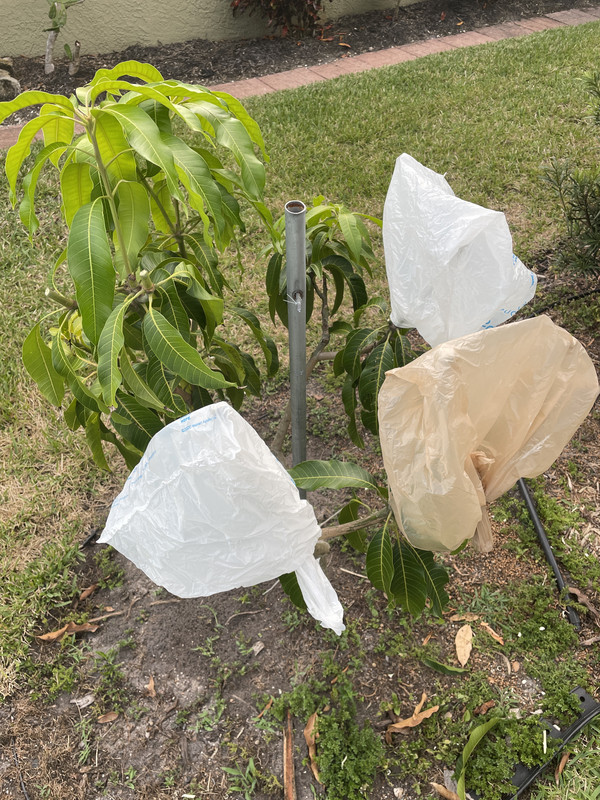 C00D5A42-A19E-41F2-80E9-B361D5170535