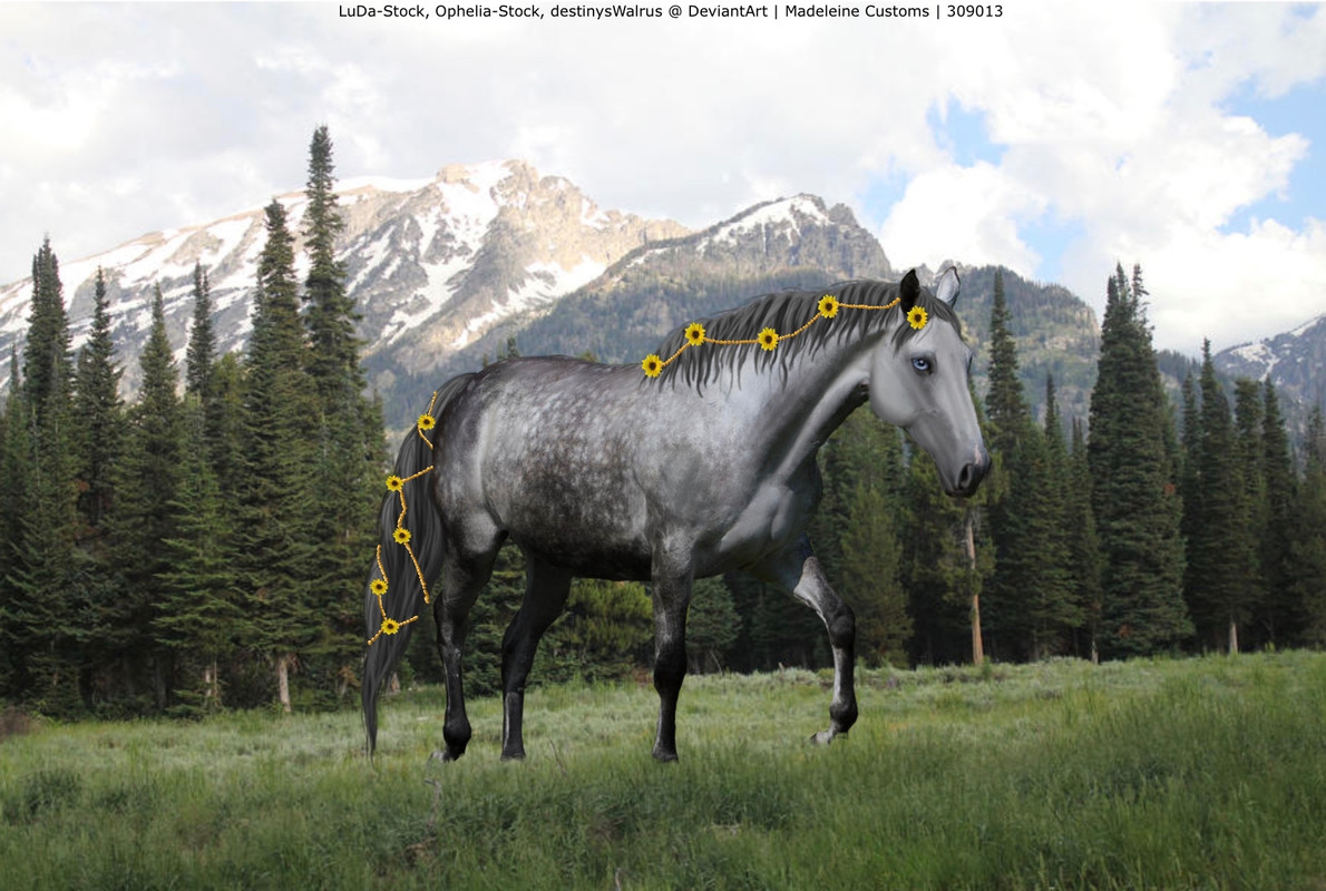 D32EA2A1-FBEC-4EB6-8F4C-BA0384C65B04