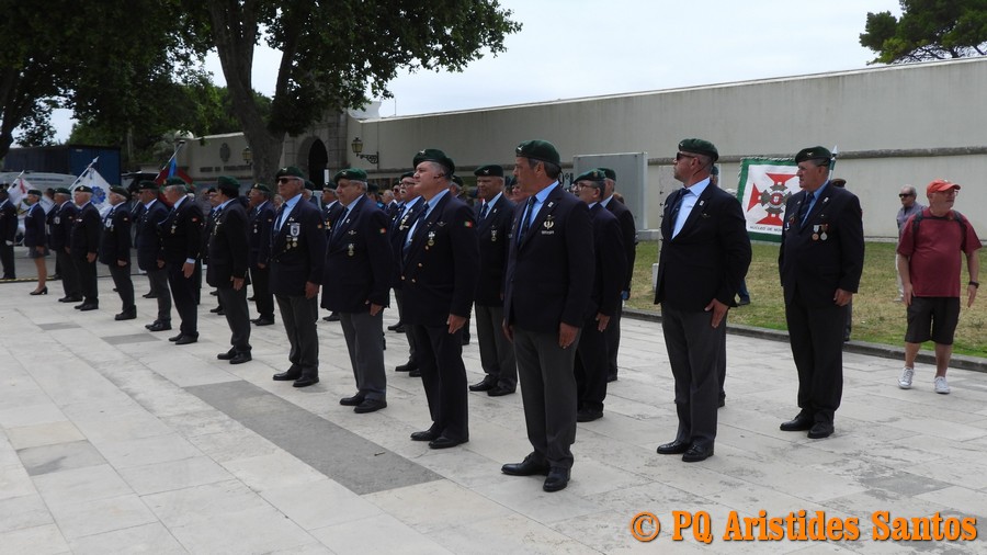 506110570-2426589924389851-8732027976202844899-n