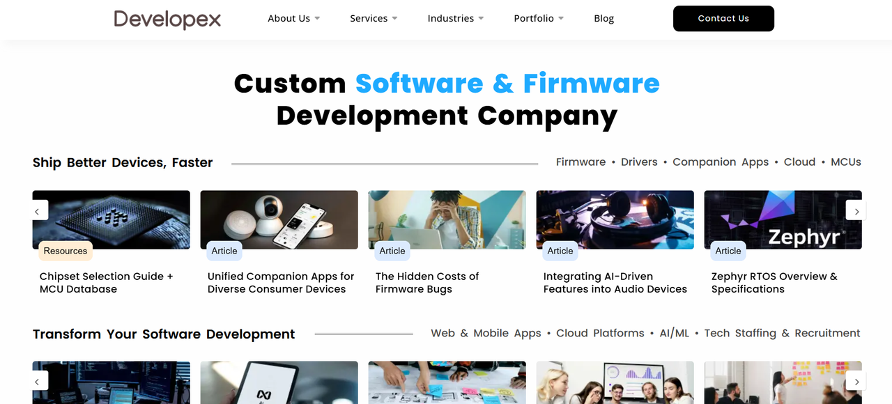 Dart Development Developex