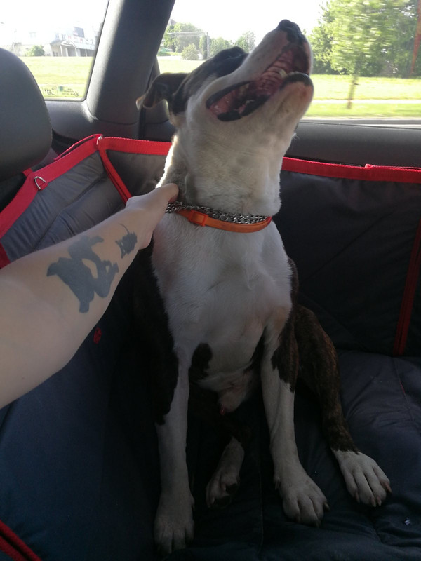 D103F962-C798-4725-9AC0-6D9CFA8B37B3