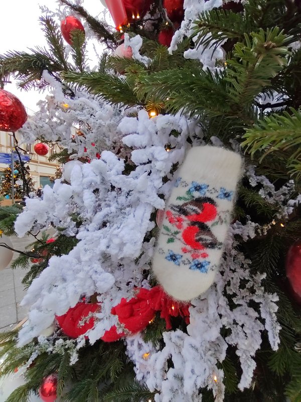 https://i.postimg.cc/5y2VwyqJ/089-IMG-20231228-112254.jpg