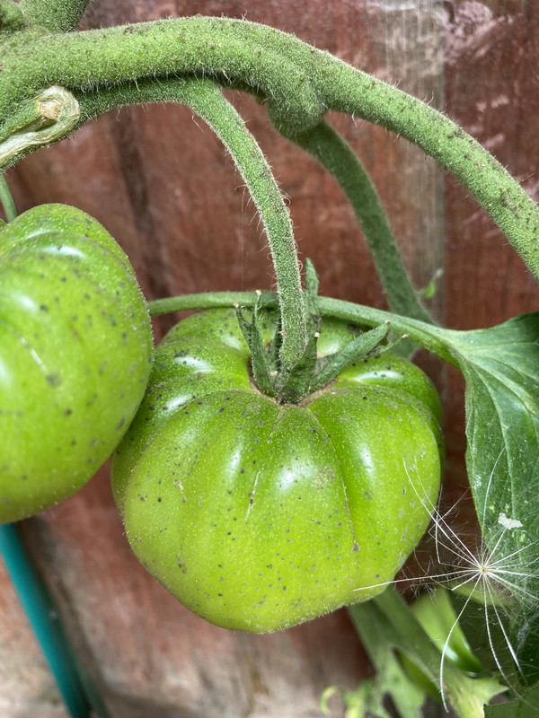 8E3A9AFB-22F3-4C51-B353-9CD358D1AC6D