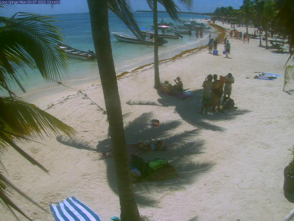 Playa Akumal - Excursión en Riviera Maya - Foro Riviera Maya y Caribe Mexicano