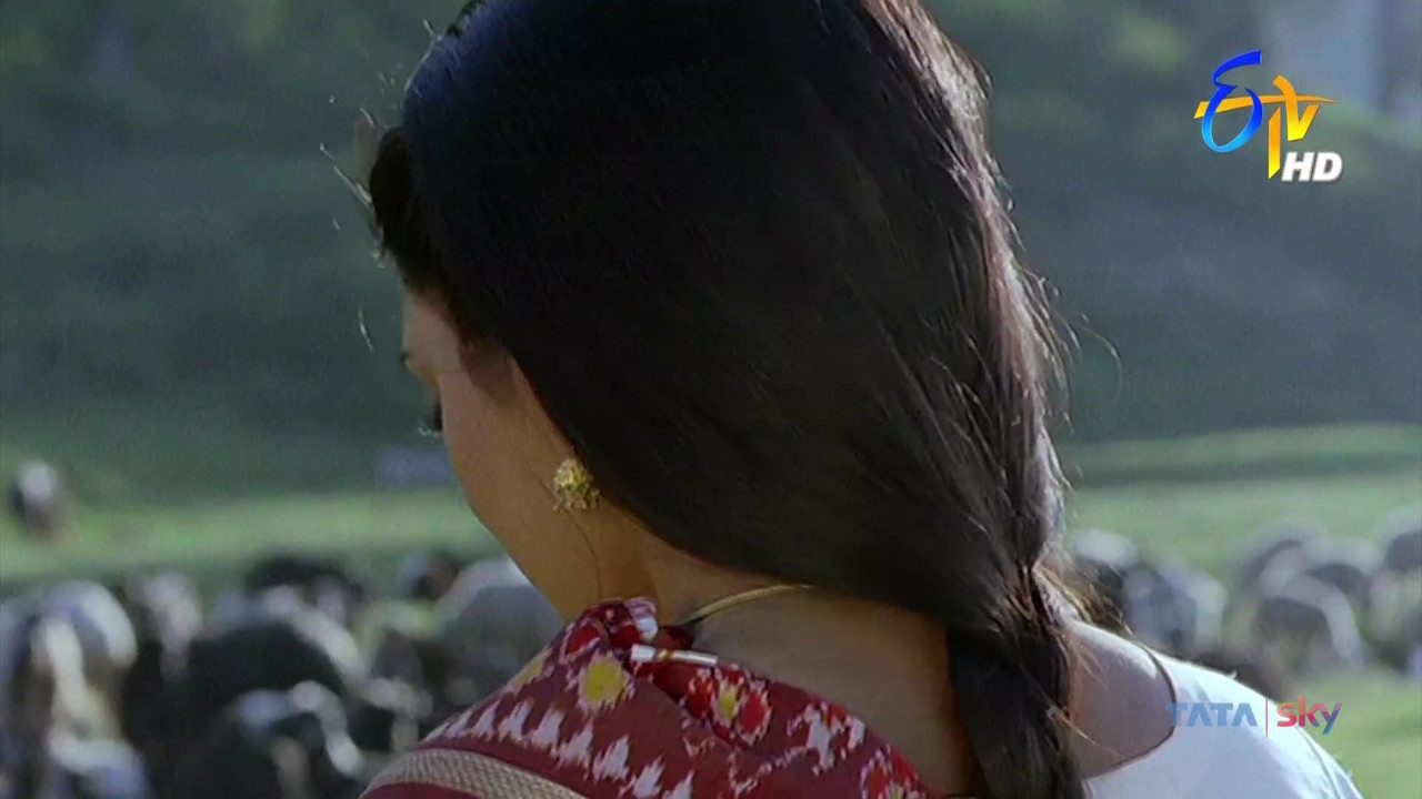 vlcsnap-2021-04-22-15h24m50s387