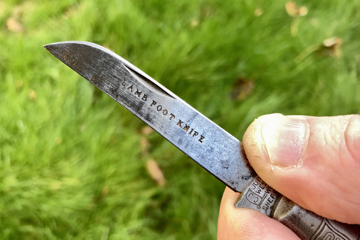 D7D3CAB6-7E85-4DCB-A98C-8B032D56A342