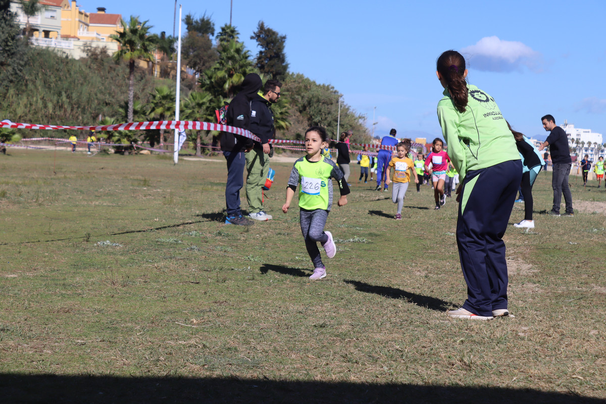IMG-0617