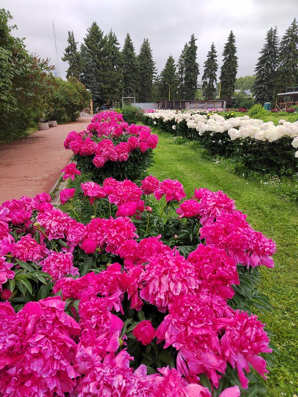 https://i.postimg.cc/5y2zF1rk/003-IMG-20240607-112427.jpg
