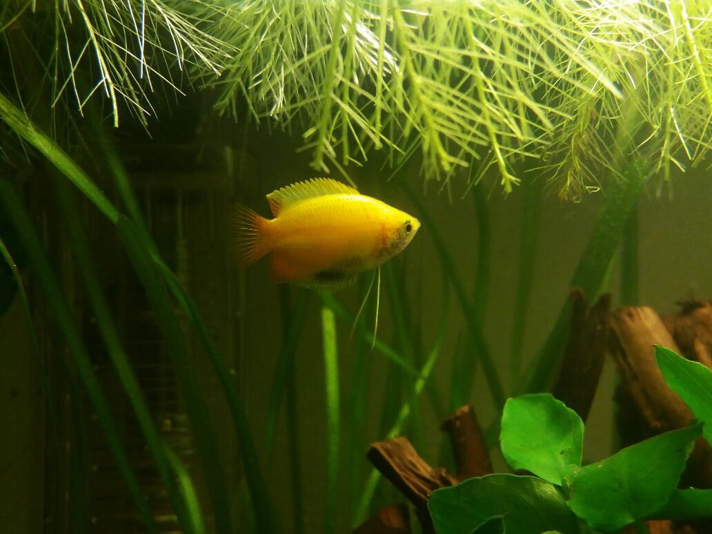 20161113_203845-1032x774