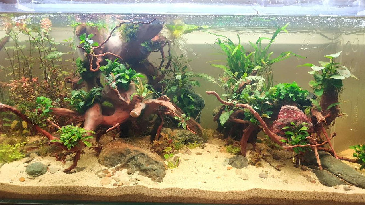 Compress_20230301_193723_3668