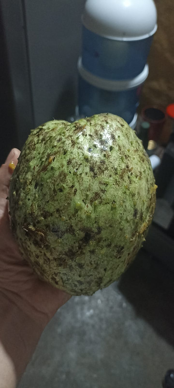 IMG 20260307 WA0004