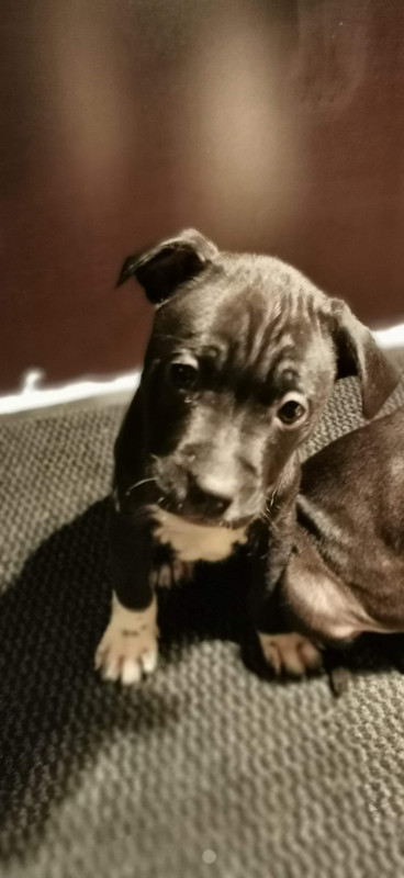 F30221F2-02A6-4D4A-9097-2A674E03F6B2