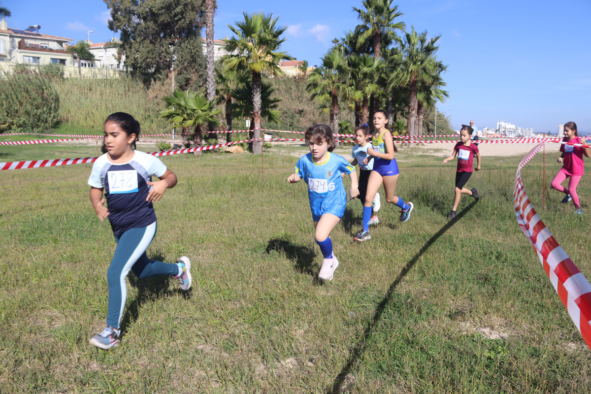 IMG-4186