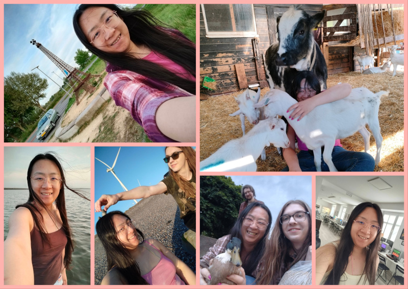 Mix-Collage-13-Jun-2026-02-23-AM-2731-800.jpg